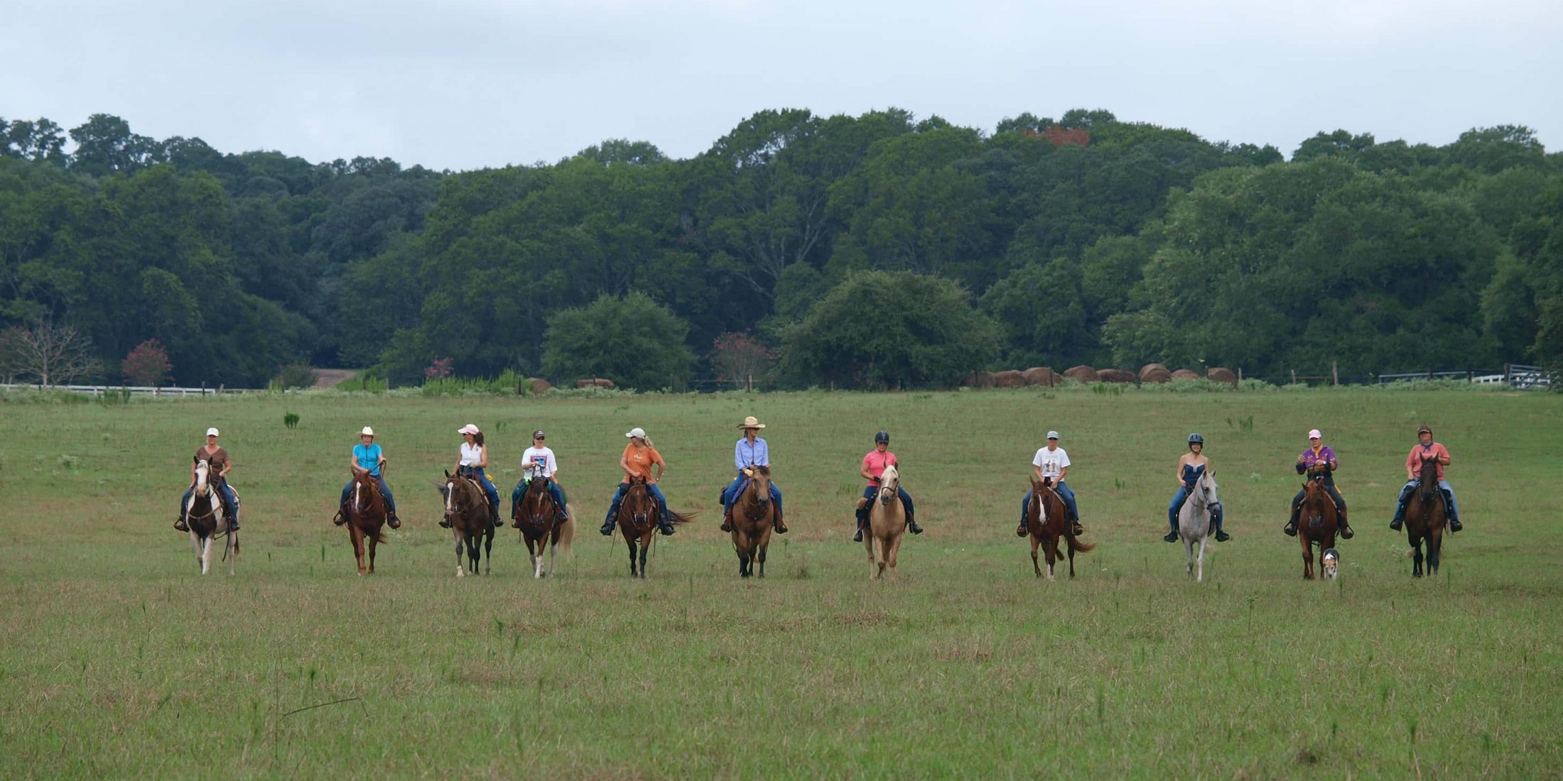 group of people on a horseback ride