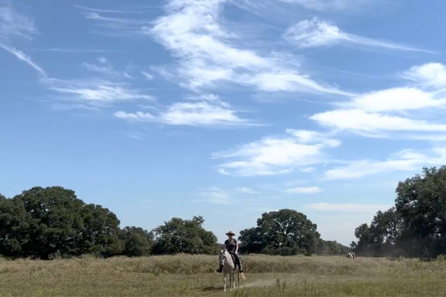 Person riding a white horse in front of a Texas country and a blue sky